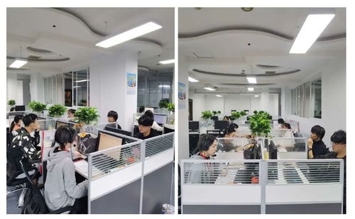 成都市成華區第七次全國人口普查咨詢熱線正式開通，為您提供便捷信息咨詢服務